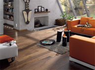 Nussbaum, Amerikanisch, Style